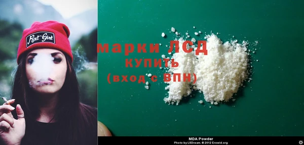 эйфоретик Алзамай