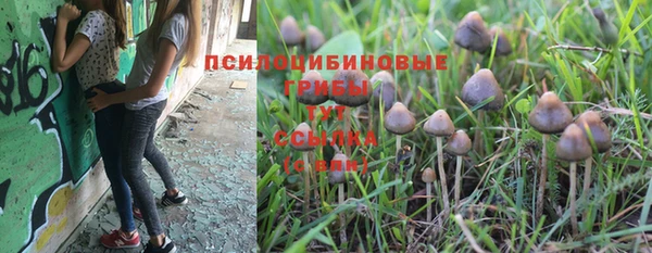 первитин Абаза