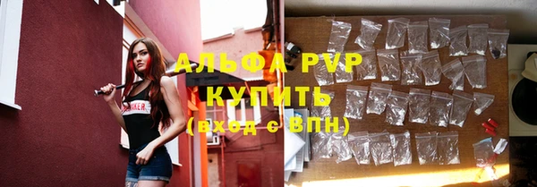 винт Няндома